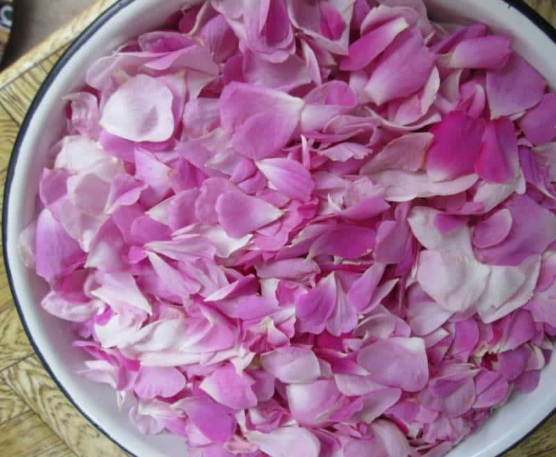 تصویر 4 از خرید گلاب سنتی + قیمت فروش استثنایی